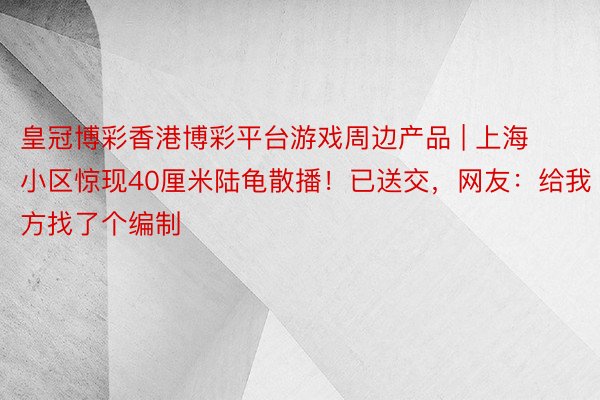 皇冠博彩香港博彩平台游戏周边产品 | 上海小区惊现40厘米陆龟散播！已送交，网友：给我方找了个编制