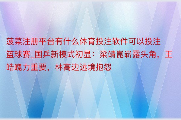 菠菜注册平台有什么体育投注软件可以投注篮球赛_国乒新模式初显：梁靖崑崭露头角，王皓魄力重要，林高边远境抱怨