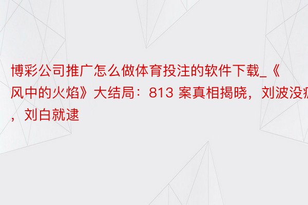 博彩公司推广怎么做体育投注的软件下载_《风中的火焰》大结局：813 案真相揭晓，刘波没疯，刘白就逮